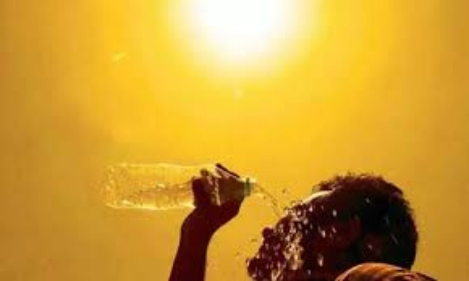 April-June to be hotter than usual, more heatwave days likely in many states: IMD April-June to be hotter than usual, more heatwave days likely in many states: IMD