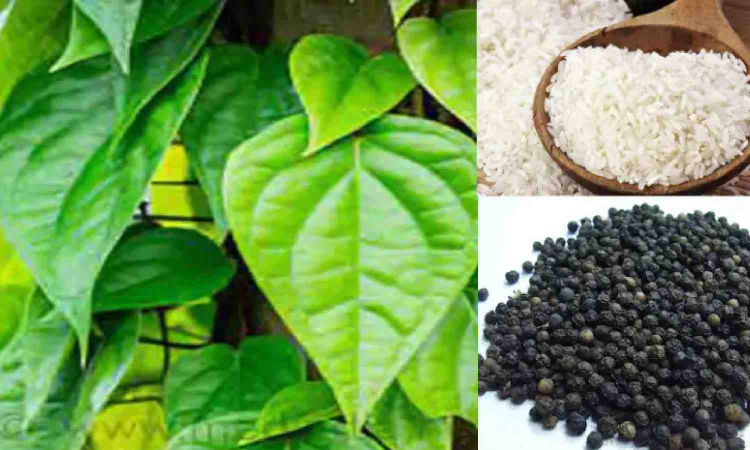 Tamil Nadu: 6 more products, including Puliyankudi Acid Lime, receive GI tag Tamil Nadu: 6 more products, including Puliyankudi Acid Lime, receive GI tag