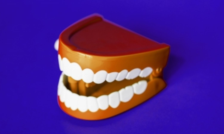 Study links poor oral health with body pain, migraines in women Study links poor oral health with body pain, migraines in women
