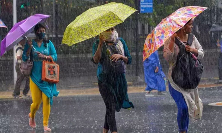These 7 TN districts are likely to receive rain on April 29