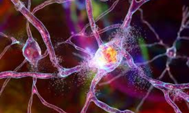 New skin-based test to boost diagnosis of debilitating neurodegenerative disease New skin-based test to boost diagnosis of debilitating neurodegenerative disease