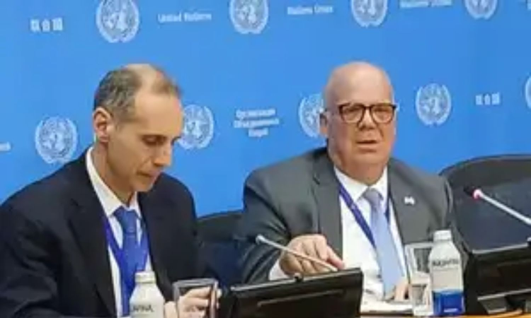 UNSC expected to meet sooner rather than later on situation between India, Pak: Council President UNSC expected to meet sooner rather than later on situation between India, Pak: Council President