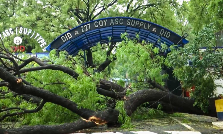 7 dead in rain-related incidents across north India; roads flooded, trees uprooted in Delhi-NCR