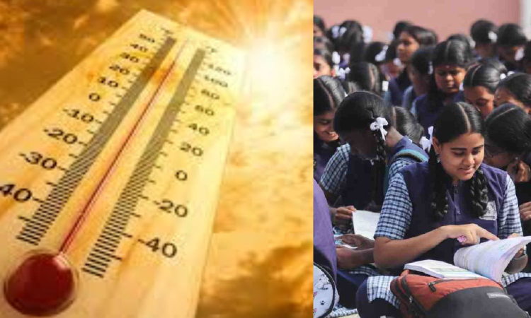 No special class this summer, TN education department warns private schools No special class this summer, TN education department warns private schools