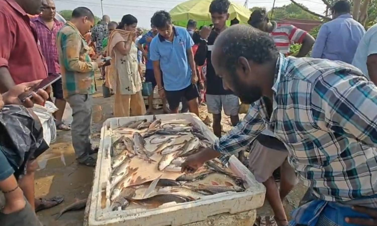 61-day annual fishing ban: Fishermen use lakes in Kancheepuram, Chengalpattu for daily catch 61-day annual fishing ban: Fishermen use lakes in Kancheepuram, Chengalpattu for daily catch