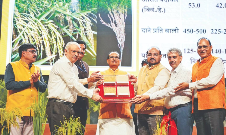 TN ryots raise alarm over India’s first genome-edited rice varieties TN ryots raise alarm over India’s first genome-edited rice varieties