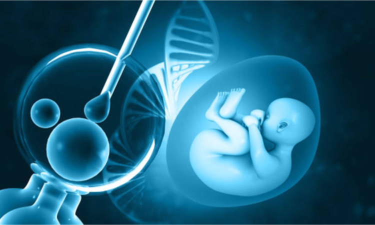 A simple oral swab test before IVF likely to boost success rate A simple oral swab test before IVF likely to boost success rate