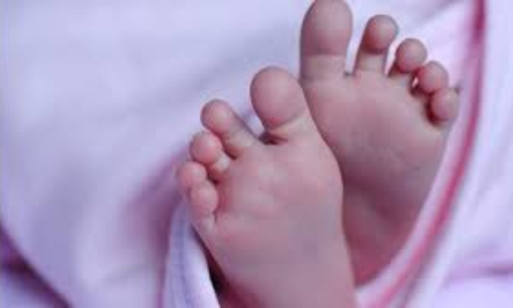 9-month-old baby thrown off bus after driver applies sudden brake, dies 9-month-old baby thrown off bus after driver applies sudden brake, dies