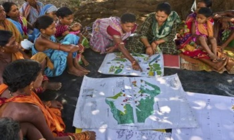 Indigenous Odisha womens ‘dream map’ to beat climate change Indigenous Odisha womens ‘dream map’ to beat climate change