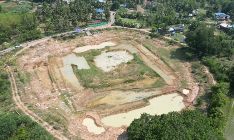 Engineer revives abandoned Melaiyur tank in Thanjavur Engineer revives abandoned Melaiyur tank in Thanjavur