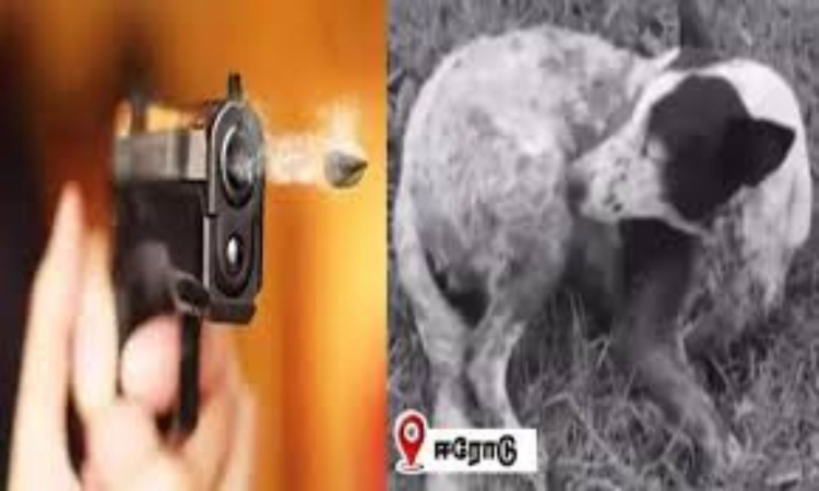 Retired government official arrested for shooting dog in Erode Retired government official arrested for shooting dog in Erode