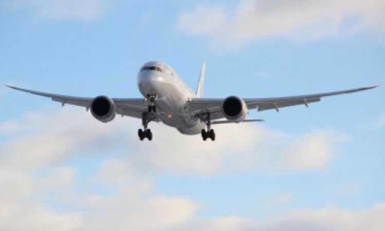 Indias domestic air passenger traffic reaches 16.54 crore in FY25 Indias domestic air passenger traffic reaches 16.54 crore in FY25