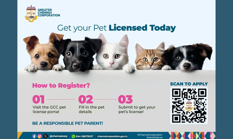 Chennai Corporation launches online pet licensing facility; check details Chennai Corporation launches online pet licensing facility; check details