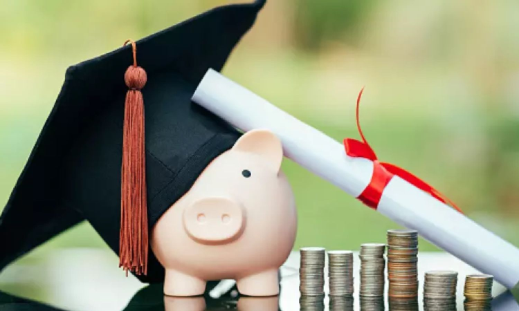 Tamil Nadu: CM research fellowship scheme extended to 60 students for 2024-25 Tamil Nadu: CM research fellowship scheme extended to 60 students for 2024-25
