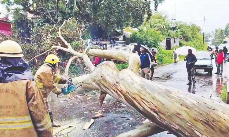 IMD issues orange alert to several TN districts as rains batter Coimbatore, Nilgiris IMD issues orange alert to several TN districts as rains batter Coimbatore, Nilgiris