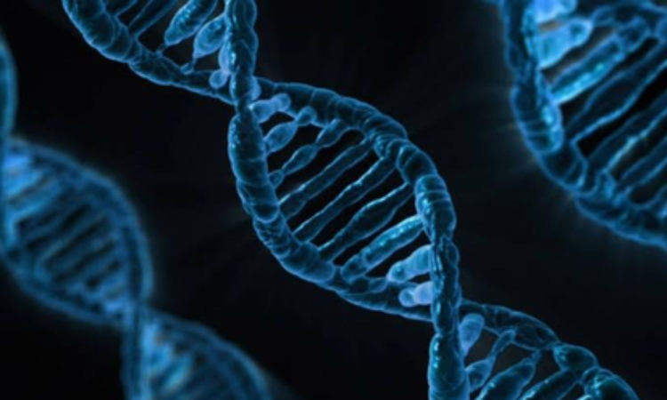 TN to open genetic disorder centres in Coimbatore, Madurai TN to open genetic disorder centres in Coimbatore, Madurai