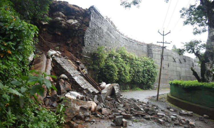 Tree fall suspends water, power supply in the Nilgiris Tree fall suspends water, power supply in the Nilgiris