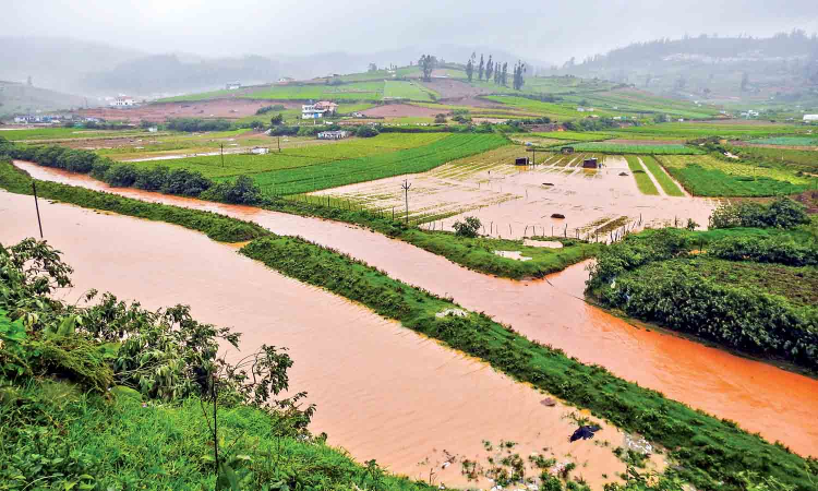 Heavy rains wreak havoc in Nilgiris district, disrupt normal life Heavy rains wreak havoc in Nilgiris district, disrupt normal life