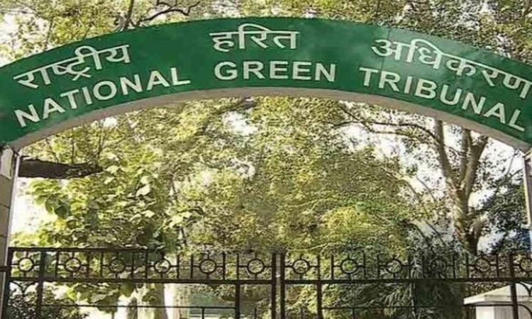 DT Next Impact: NGT issues notice to TN pollution control panel on Cotton Canal DT Next Impact: NGT issues notice to TN pollution control panel on Cotton Canal