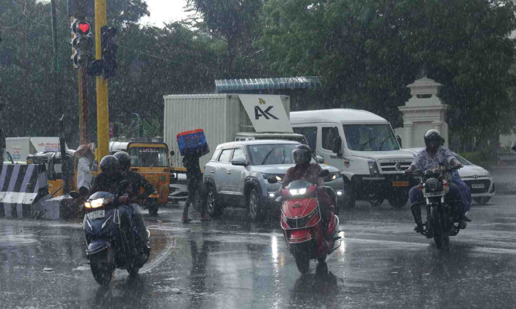 Chennai: Rain brings relief to heat-stricken city; more predicted for 2-3 days Chennai: Rain brings relief to heat-stricken city; more predicted for 2-3 days