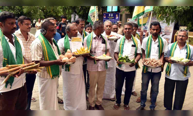 Tamil Nadu: Farmers oppose mandatory CIBIL Score for availing crop loans Tamil Nadu: Farmers oppose mandatory CIBIL Score for availing crop loans