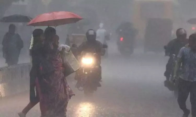 NDRF deployed as heavy rain continues in Nilgiris, Coimbatore NDRF deployed as heavy rain continues in Nilgiris, Coimbatore