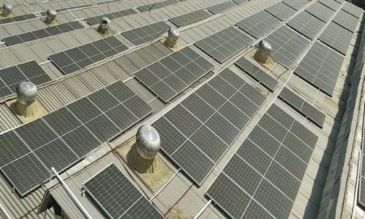 Renewable energy generation in India jumps to 17 pc in May: HSBC report Renewable energy generation in India jumps to 17 pc in May: HSBC report
