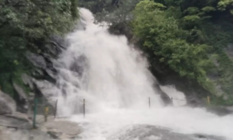 Dams in Coimbatore district brim with water after heavy rainfall