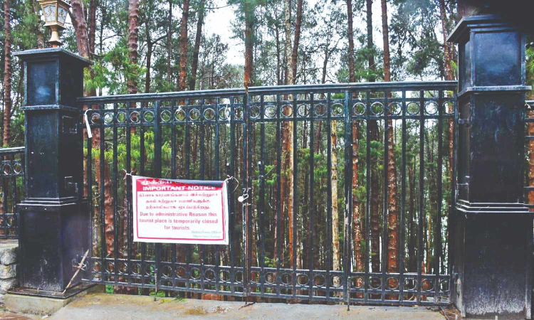 Heavy rains force closure of tourist spots in Nilgiris for 2nd straight day Heavy rains force closure of tourist spots in Nilgiris for 2nd straight day