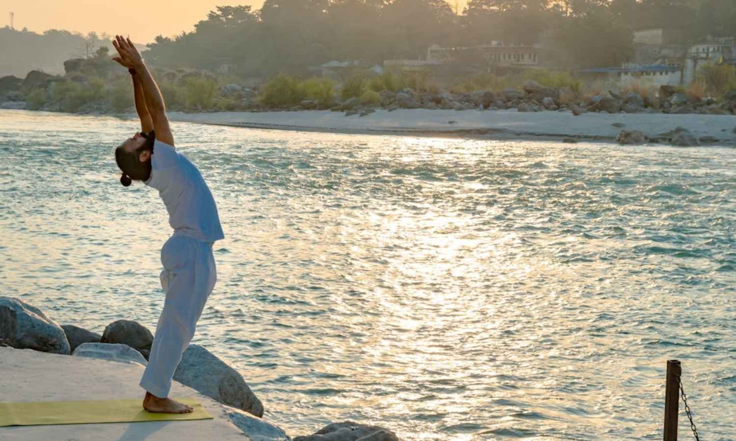 Yoga Day 2025 Special: Celebs, citizens and experts across Tamil Nadu share what yoga means to them