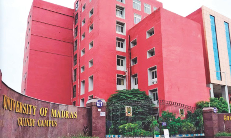 Dead lizard in snack packet shocks participants at Madras university event Dead lizard in snack packet shocks participants at Madras university event