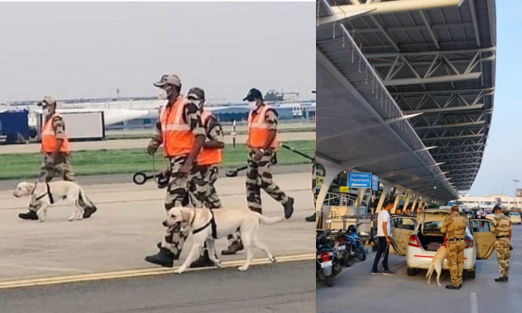 Bomb hoax email targets 18 Indian Airports, including Chennai; security scare ends after intensive checks Bomb hoax email targets 18 Indian Airports, including Chennai; security scare ends after intensive checks