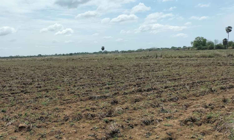 Tax on groundwater yet another blow to TN farmers Tax on groundwater yet another blow to TN farmers