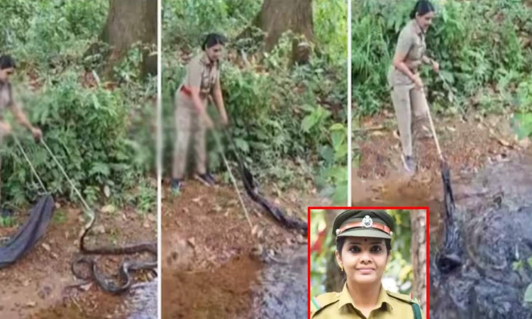 Kerala woman forest officer rescues her first king cobra in six minutes