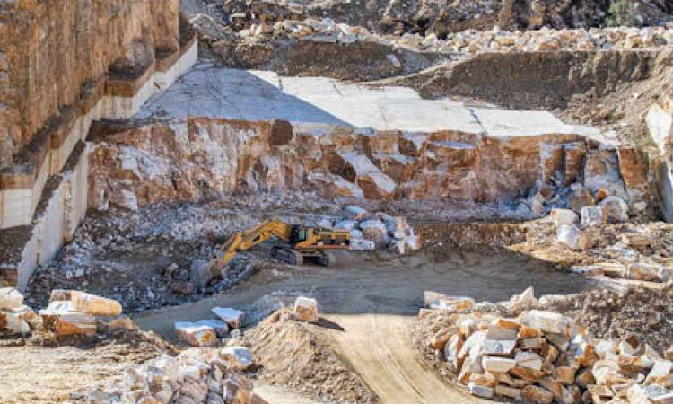 Large limestone mines highly suitable for eco-restoration: Study Large limestone mines highly suitable for eco-restoration: Study