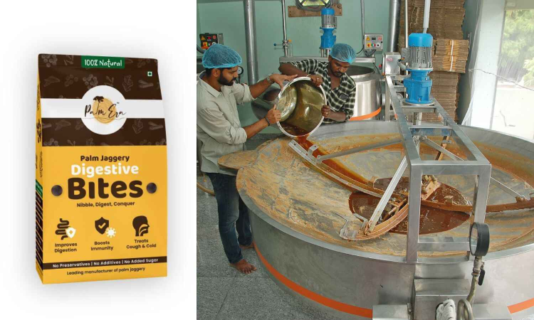 Reviving the era of palm, with a pinch of innovation Reviving the era of palm, with a pinch of innovation