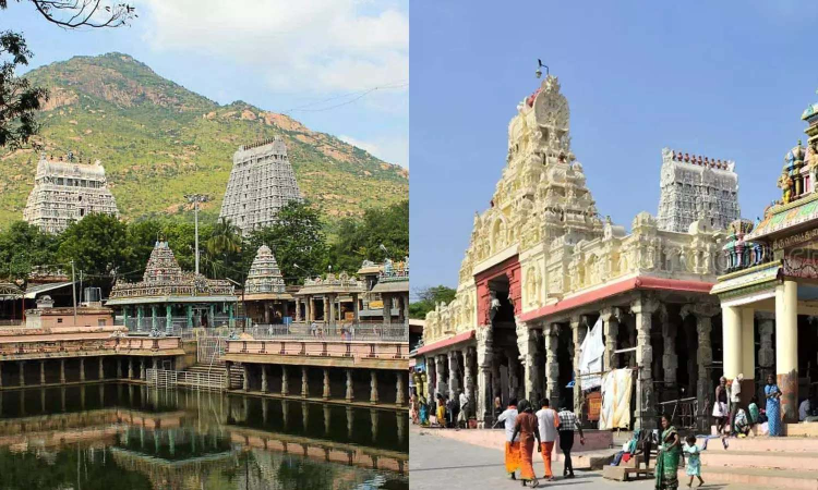 Palani, Tiruchendur, Tiruvannamalai temples to introduce ‘break’ darshan Palani, Tiruchendur, Tiruvannamalai temples to introduce ‘break’ darshan