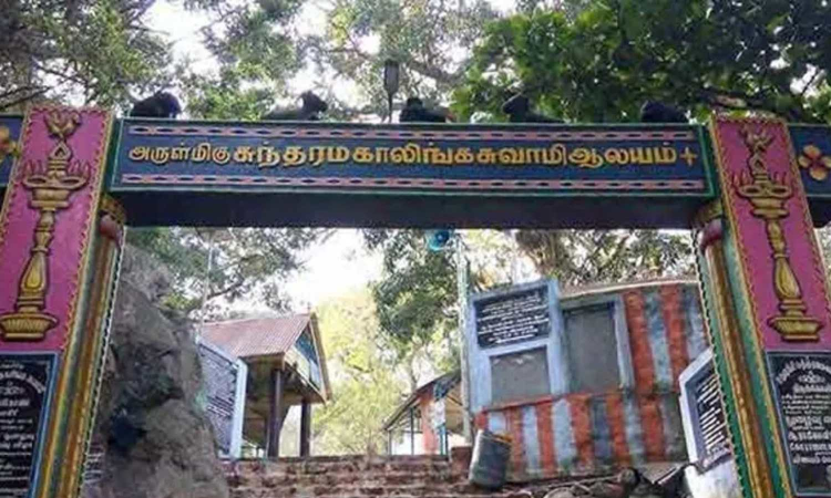 Tamil Nadu: Devotee gets injured on Sathuragiri hill, rescued Tamil Nadu: Devotee gets injured on Sathuragiri hill, rescued