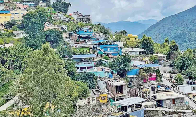 Tamil Nadu hill stations warming up due to construction surge and forest decline Tamil Nadu hill stations warming up due to construction surge and forest decline