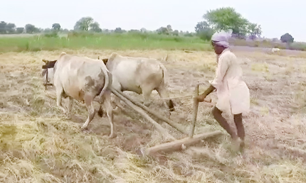 TN farmers urge Centre to implement modified Pandiyaru-Moyyar river link scheme TN farmers urge Centre to implement modified Pandiyaru-Moyyar river link scheme