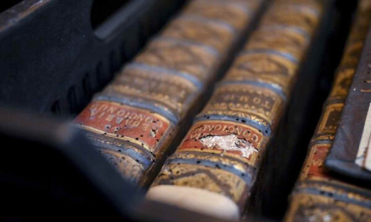Hungarys oldest library fighting to save 100,000 books from beetle infestation Hungarys oldest library fighting to save 100,000 books from beetle infestation