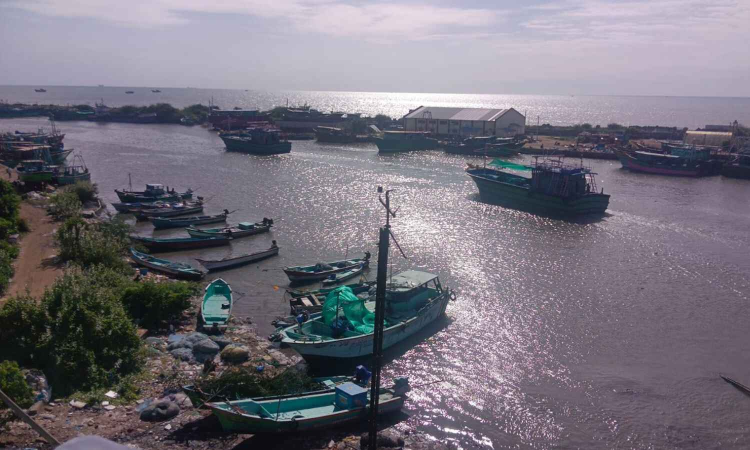 Future looks promising for Tamil Nadu fishermen Future looks promising for Tamil Nadu fishermen