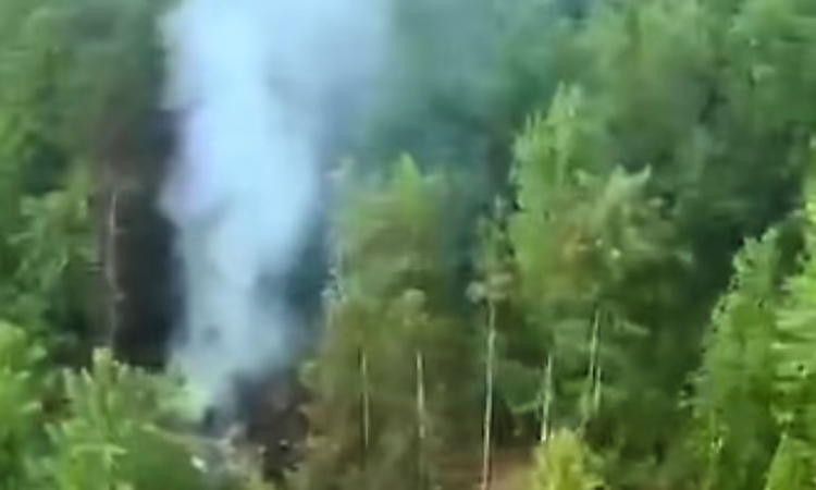 No sign of survivors after search of plane crash site in Russias Far East No sign of survivors after search of plane crash site in Russias Far East