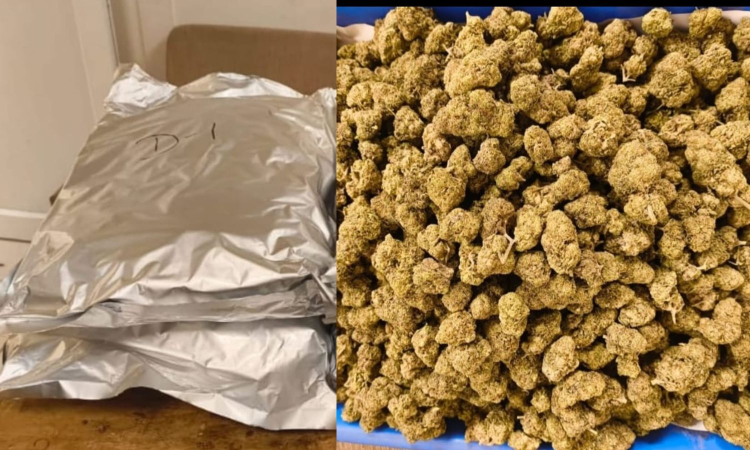 Flyers from Singapore, Bangkok held with gold, ganja at Chennai Airport; arrested