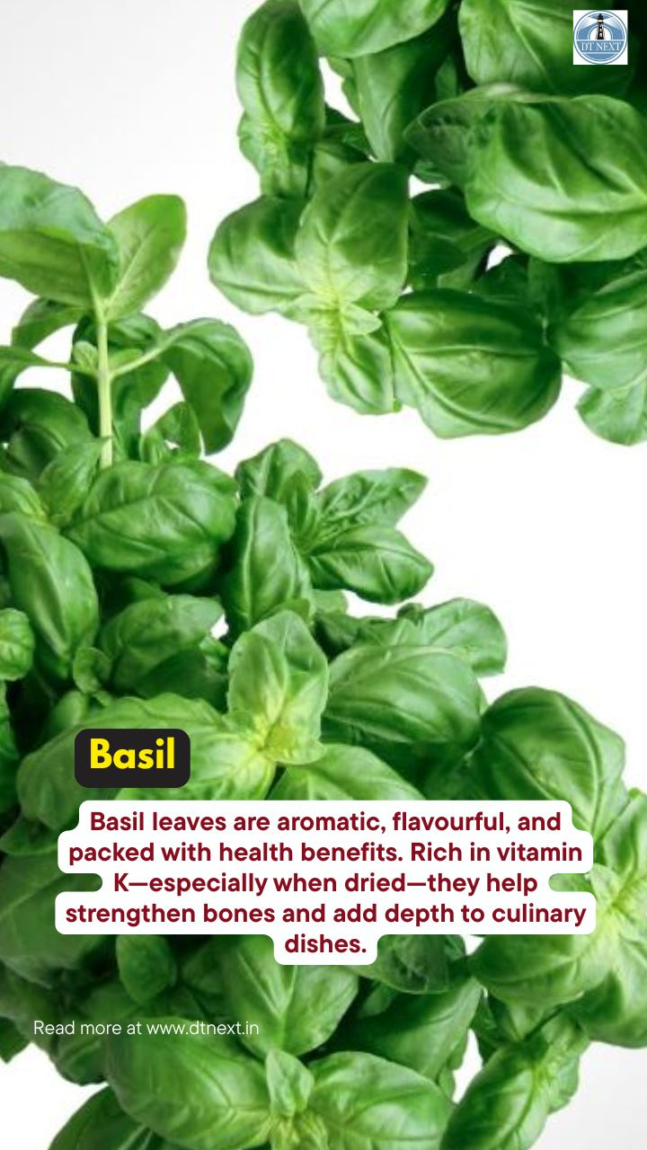 5 easy-to-grow herbs at home
