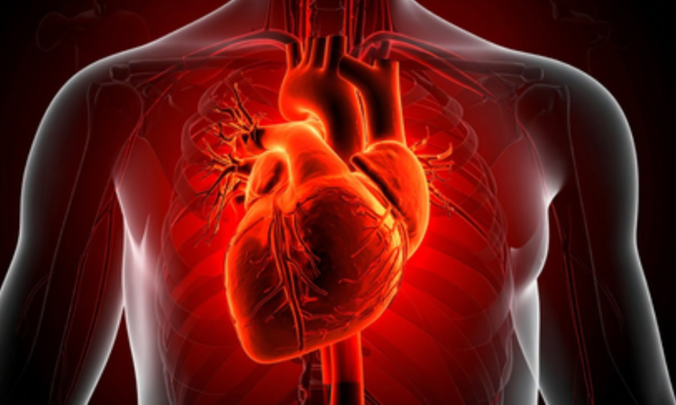 Study links common diabetes drug with cardiovascular risk Study links common diabetes drug with cardiovascular risk