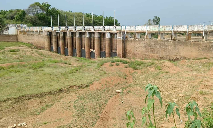 Water management legacy of Chola continues to irrigate Ariyalur, Cuddalore Water management legacy of Chola continues to irrigate Ariyalur, Cuddalore