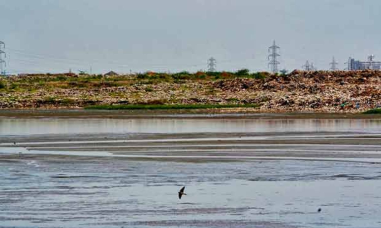 New eco-tourism destination to open at Thonirevu wetland near Pulicat Bird Sanctuary New eco-tourism destination to open at Thonirevu wetland near Pulicat Bird Sanctuary