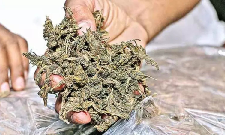2 stranded SL men held with ganja off Maravakadu coast
