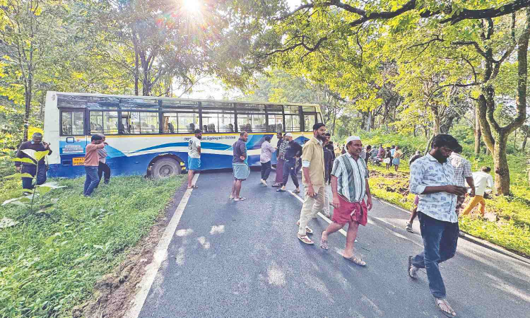 Passengers survive as TNSTC bus steering away from deer rams tree in Gudalur Passengers survive as TNSTC bus steering away from deer rams tree in Gudalur